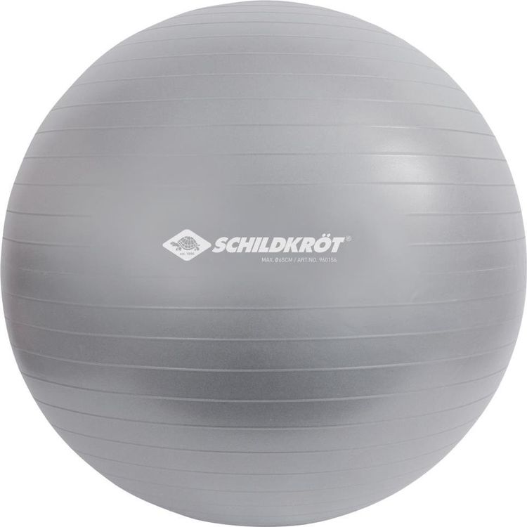Tootefoto - Schildkrot Exercise ball 55 cm silver