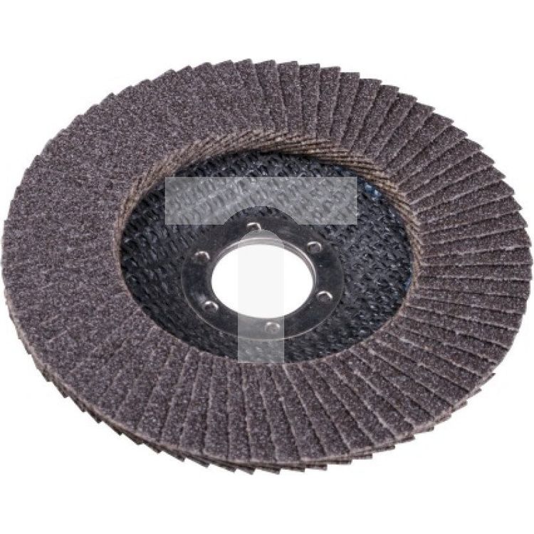 Tootefoto - DISC WHEEL FLAP 125 THICK. 100 FLAT [EXPERT] - 10 pcs