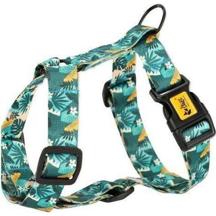 Tootefoto - Dingo Guard Monstera M 3 / 38-70 harness