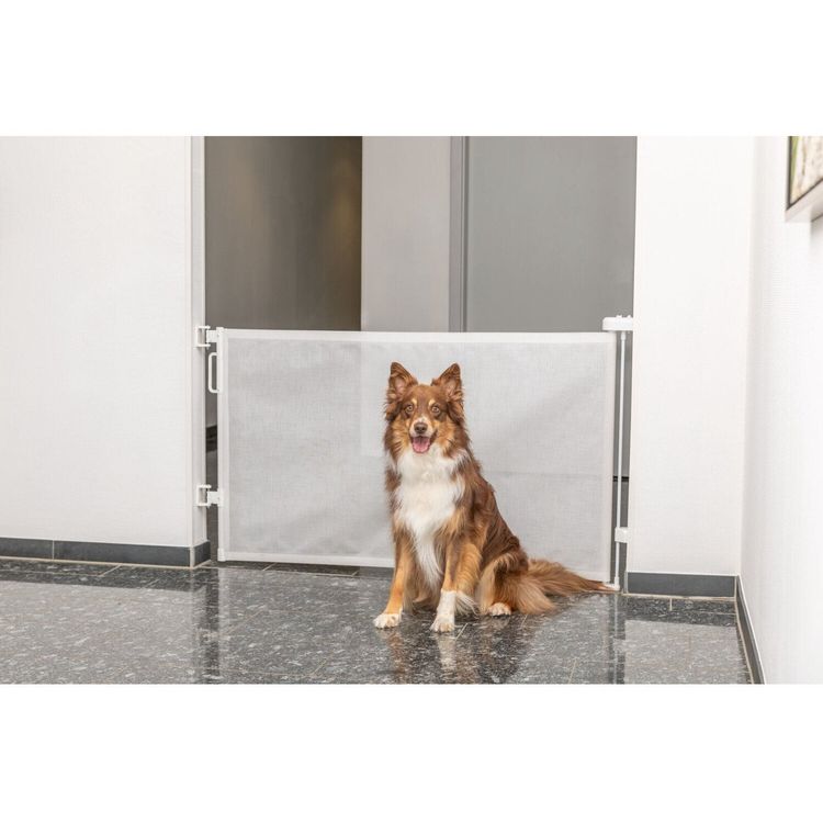 Tootefoto - Rullbarj r, veeretatud, koera jaoks, 0 137 86 cm