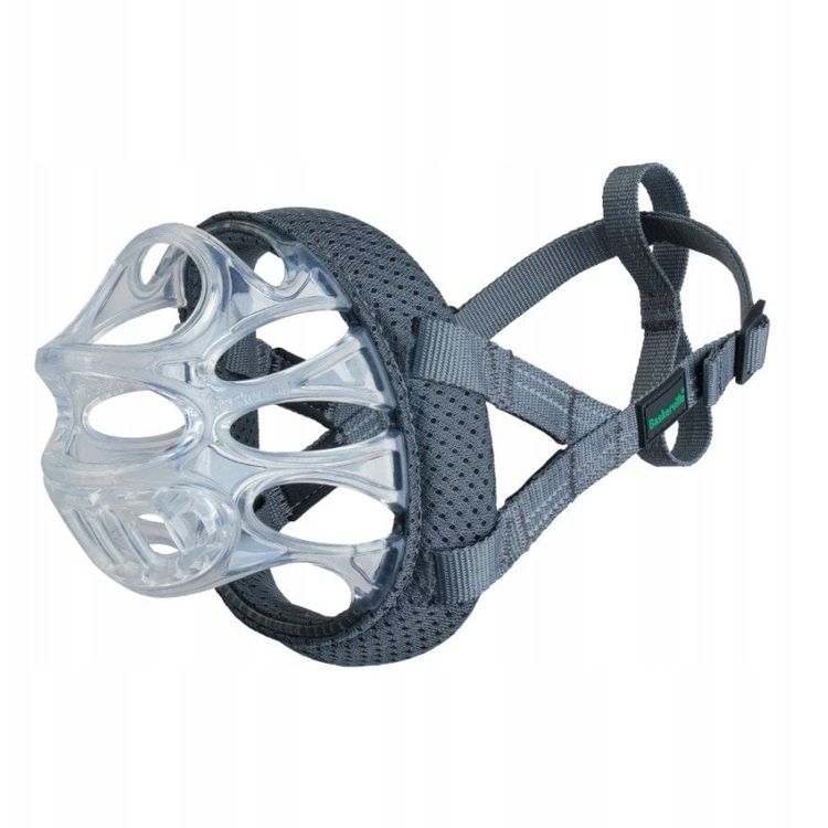 Tootefoto - Baskerville koonu Invisa 4