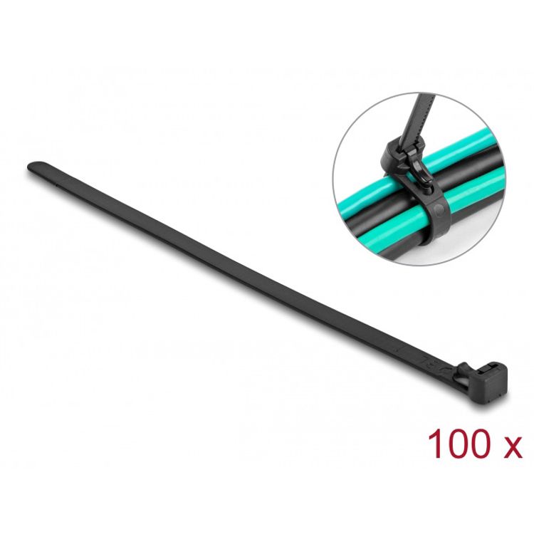 Tootefoto - DeLOCK 19066 juhtmek idis Kaablihoidik/siduja Nailon Must 100 tk