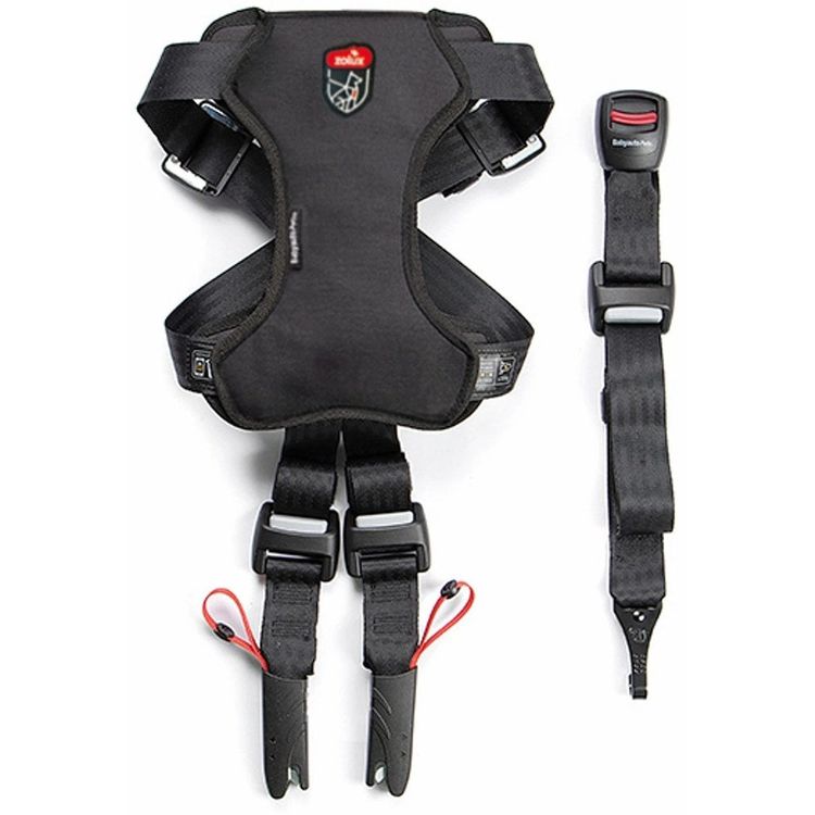 Tootefoto - Zolux koerad koerte reisimiseks ohutu m must