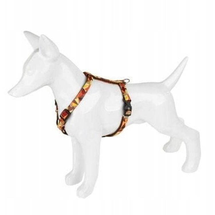 Tootefoto - Koerarakmed, s gismuster, teip, 30MM/60-100CM pruun