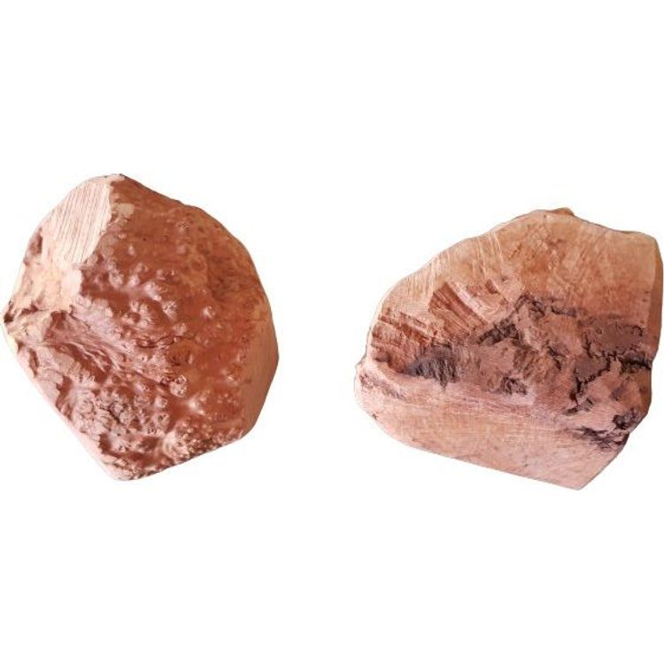 Tootefoto - 4DOGS 4DOGS TEETHER XXL, mis on valmistatud marjajuurest