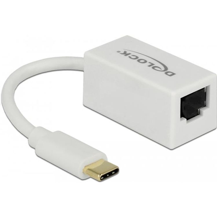 Tootefoto - DeLOCK 65906 liidesekaart/adapter RJ-45