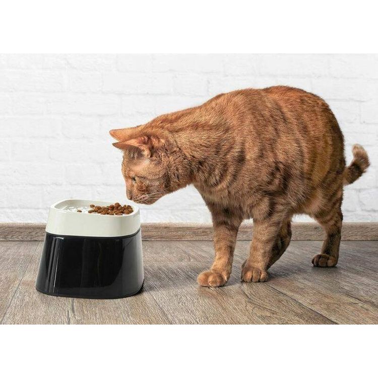 Tootefoto - Savic SAVIC-CAT KAUSSI ERGO KUUBIKTOIT