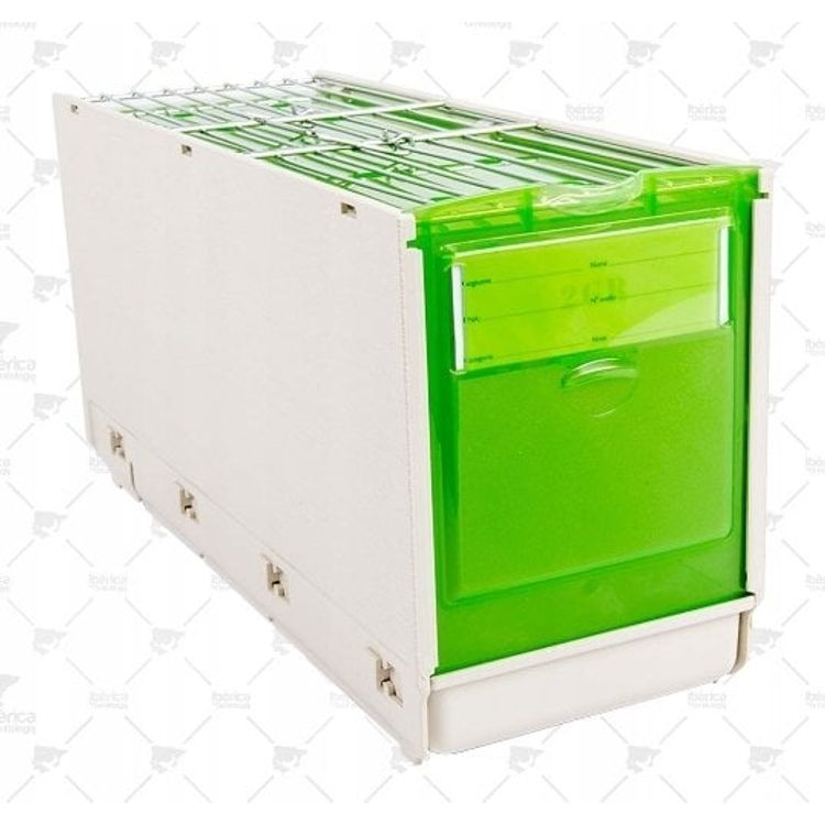 Tootefoto - Secondino Maxi, linnukandja, bee ja roheline, 31 11,5 k16 cm, kausside ja ahvenaga