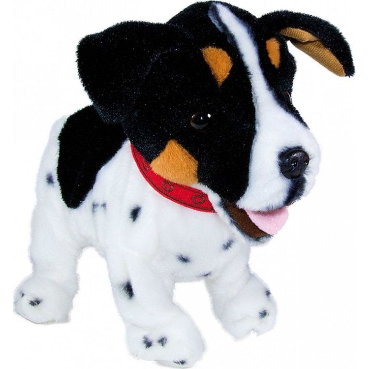 Tootefoto - Madej Interaktiivne maskott Figo Koer, kes reageerib k sklustele Jack Russeli terjer