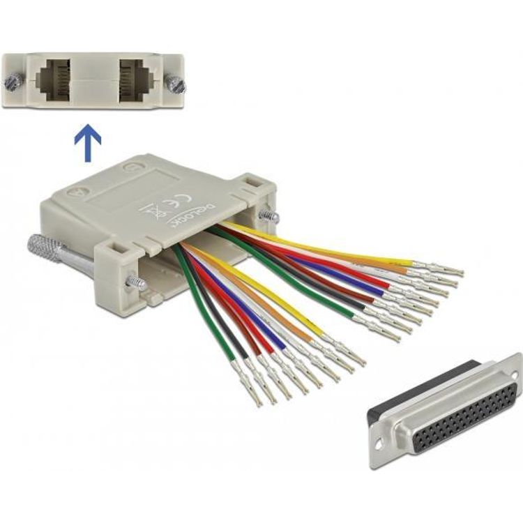 Tootefoto - DeLOCK 66836 kaabli soomuutja D-Sub 44pin 2x RJ-45 Bee