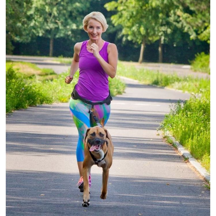 Tootefoto - Dingo Pas do biegania 4 w 1