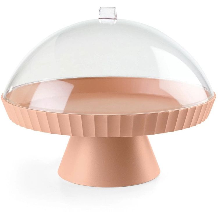 Tootefoto - Patera agora roosa kaanega taigna jaoks