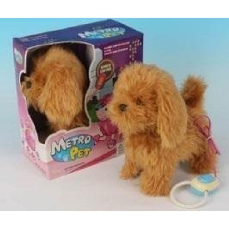 Tootefoto - Akurihmaga koer