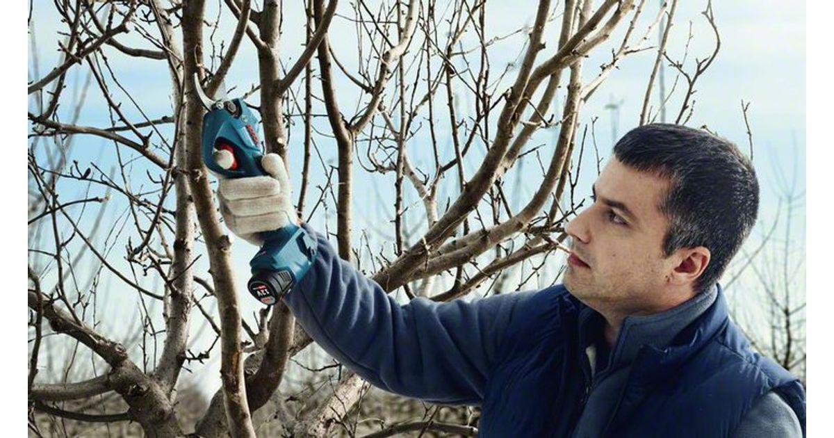 Bosch Pro Pruner Professional Cordless Secateur 