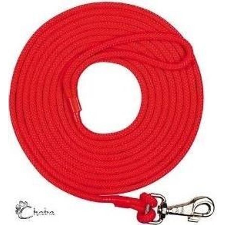 Tootefoto - CHABA Training leash with red rope