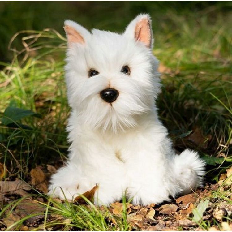 Tootefoto - Smily Play Plush Westie