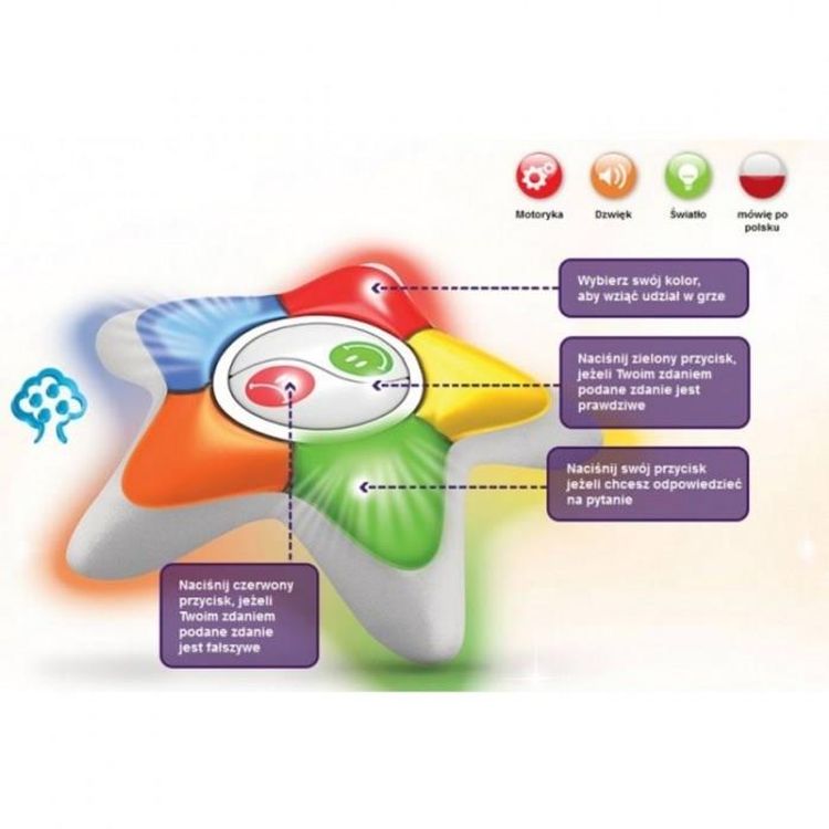 Tootefoto - Dumel True or False juunior (61195)