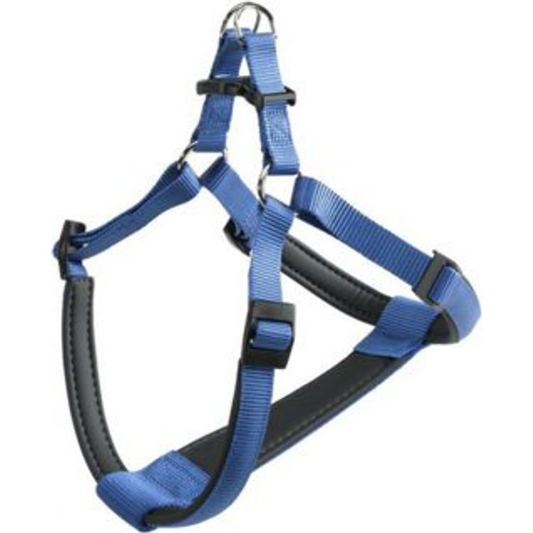 Tootefoto - Ferplasti rakmed Daytona sinine L