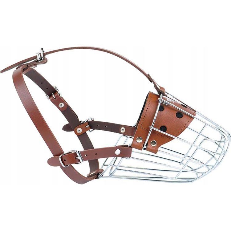 Tootefoto - Dino DINO METALLIST SUUN "6" PRUUN LAMBAKOER