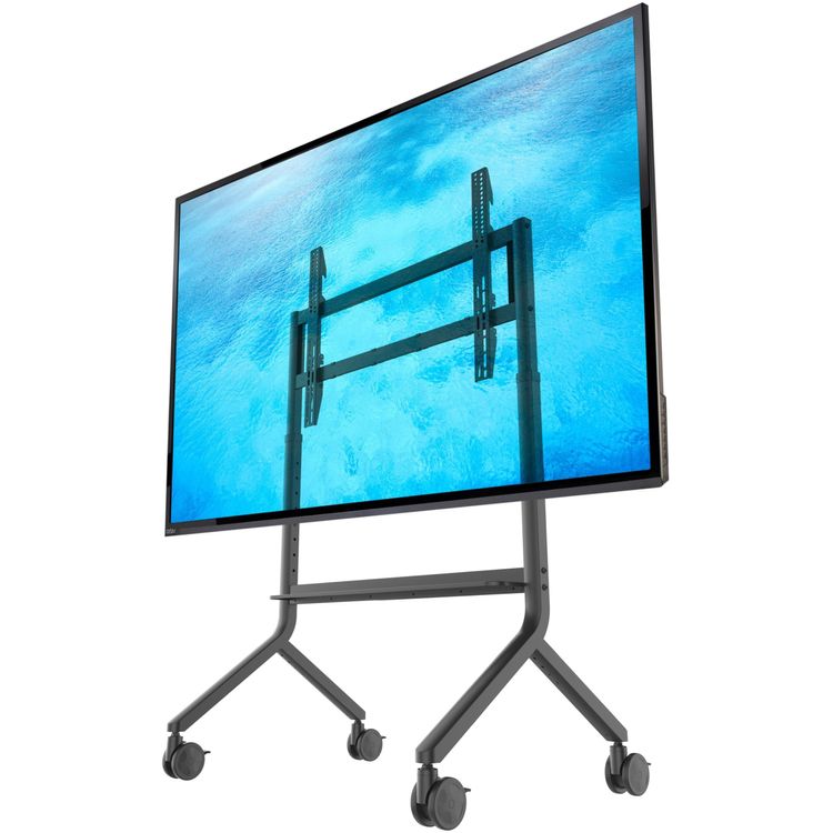 Tootefoto - North Bayou P100 - Solidny mobilny stojak do tablic interaktywnych ekran w multimedialnych i telewizor w 65"-90"