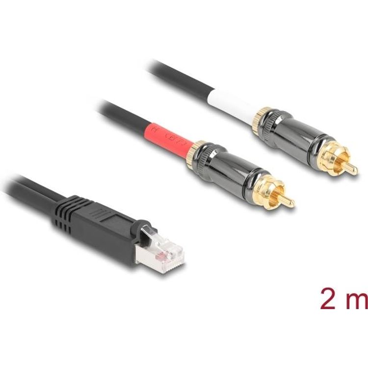 Tootefoto - Delock Adapterkabel RJ45 Stecker zu 2 x Cinch Stecker schwarz 2 m (88171)
