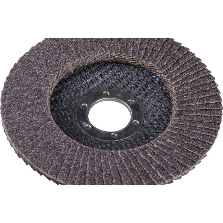 Tootefoto - DISC WHEEL FLAP 125 THICK. 120 FLAT [EXPERT] - 10 pcs