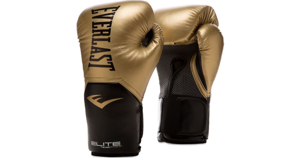 Everlast gold deals