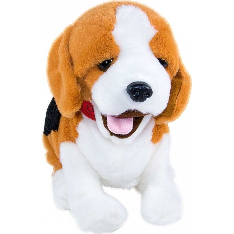 Tootefoto - Madej Figo interactive mascot A dog that responds to Beagle commands