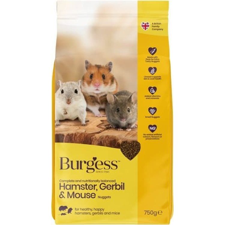 Tootefoto - Hamstri liivahiir ja hiir 750g