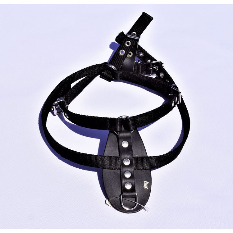 Tootefoto - Dingo Szelki Z Ta my Do Tropienia Nr 1