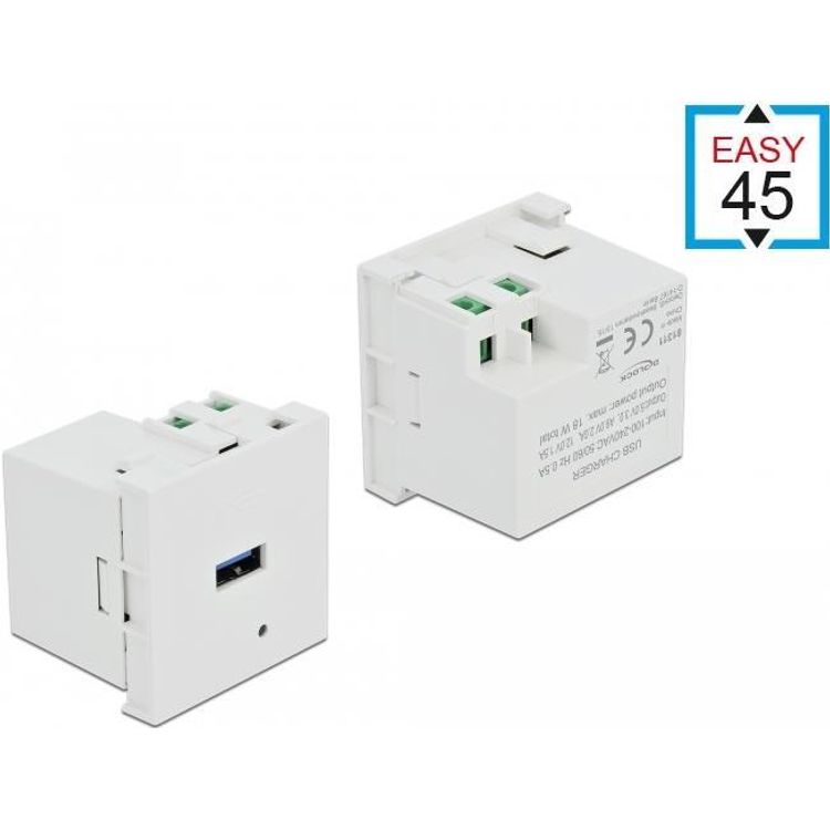 Tootefoto - DeLOCK 81311 pistikupesa USB A Valge