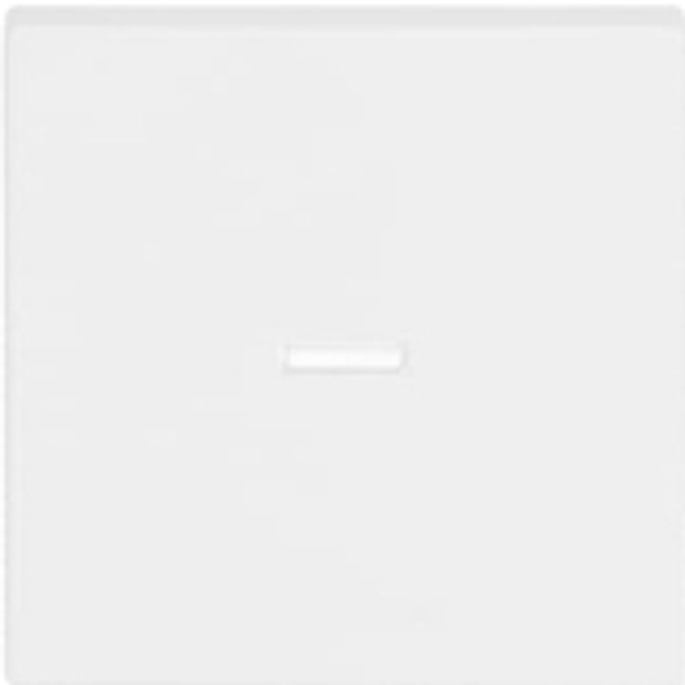 Tootefoto - Busch-Jaeger Wippe studiowei matt 1789 N-884 (2CKA001751A3153)