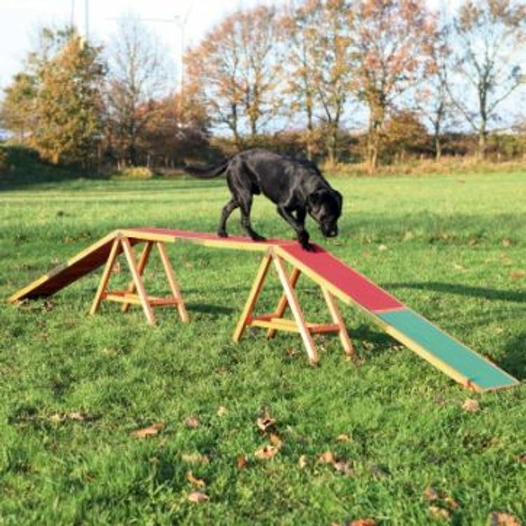 Tootefoto - Trixie 'Dog Activity Agility' koerasild, 456 64 30 cm