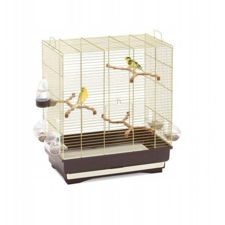 Tootefoto - Carlotta, puuri, lindude jaoks, z oto/br zowa, 50x30x56 cm