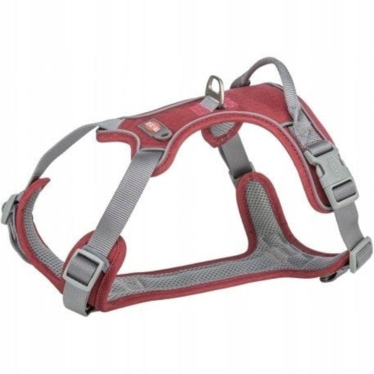 Tootefoto - Premium Active, rakmed, koertele, Burgundia, XS S: 30 40 cm/15 mm