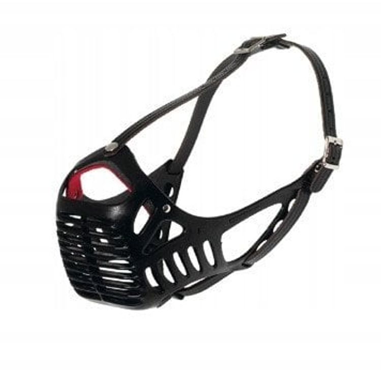 Tootefoto - Koon, koera jaoks, kr tkonose t ugude jaoks, plast, l