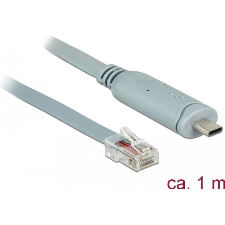 Tootefoto - DeLOCK 89893 j rjestikkaabel Hall 1 m USB 2.0 Type-C RJ45